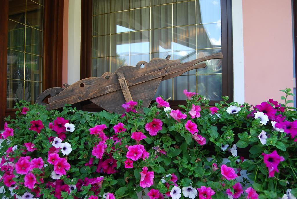Hotel Quadrifoglio Pinzolo Exteriér fotografie